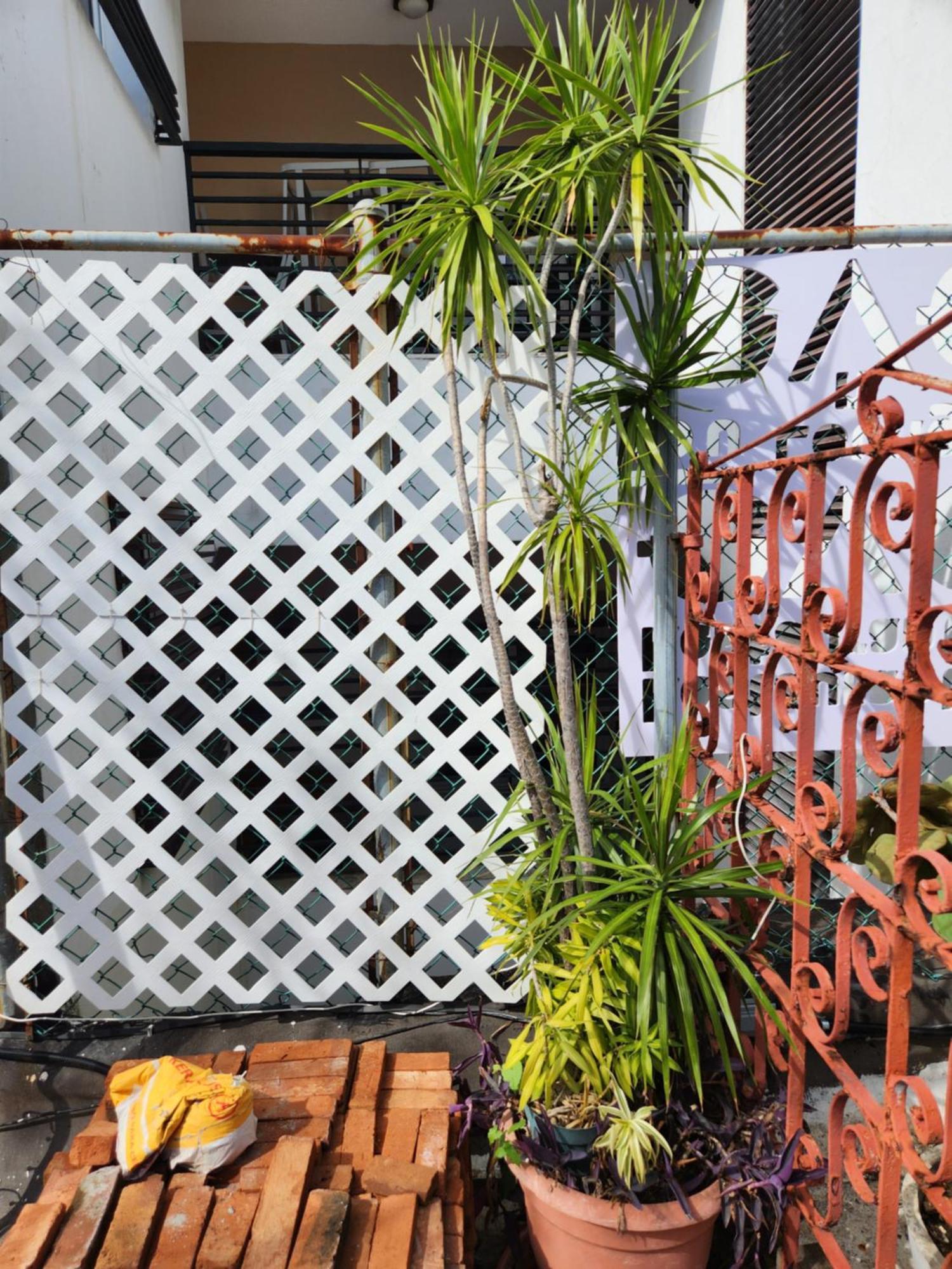 Fabulous Rooftop 2 Colonial Room For 4 Santo Domingo Kamer foto